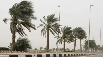رياح نشطة وأتربة مثارة.. الأرصاد يوجه تنبيهاً لسكان منطقة الحدود الشمالية